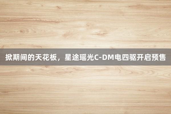 掀期间的天花板，星途瑶光C-DM电四驱开启预售