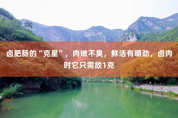 卤肥肠的“克星”，肉嫩不臭，鲜活有嚼劲，卤肉时它只需放1克