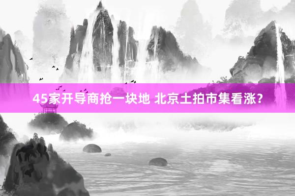 45家开导商抢一块地 北京土拍市集看涨？
