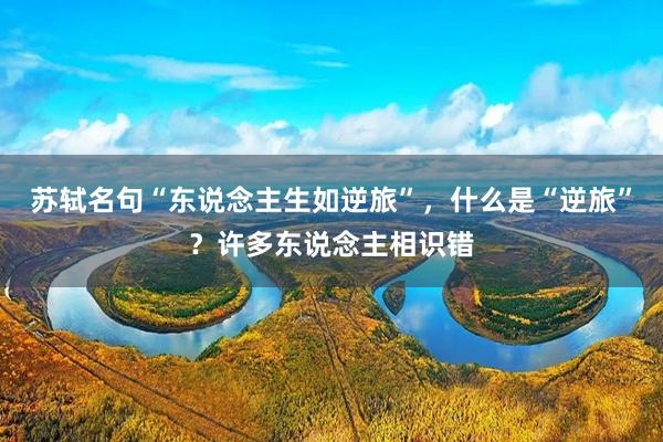 苏轼名句“东说念主生如逆旅”，什么是“逆旅”？许多东说念主相识错