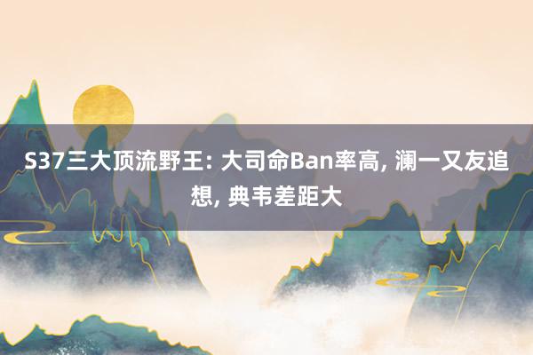 S37三大顶流野王: 大司命Ban率高, 澜一又友追想, 典韦差距大