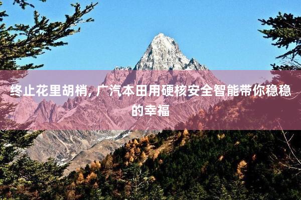 终止花里胡梢, 广汽本田用硬核安全智能带你稳稳的幸福